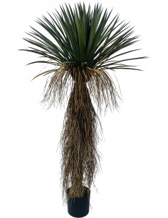 Искусственное растение...