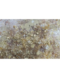 Картина TREE 100x100 2