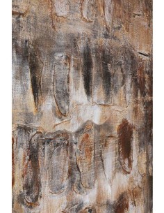 Kартина SHADOW 90x120 2